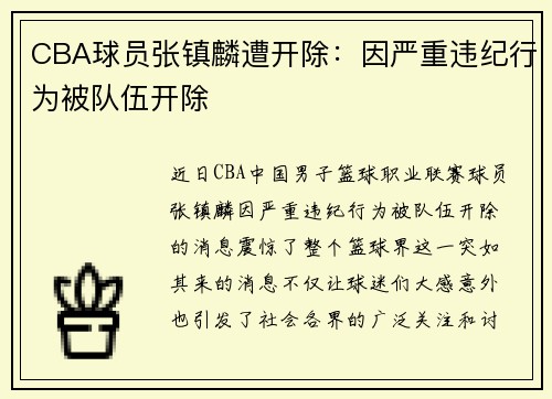 CBA球员张镇麟遭开除：因严重违纪行为被队伍开除